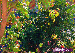Glitter Photos