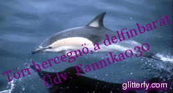 glitterfy5105718564B81.gif