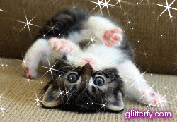Glitter Photos