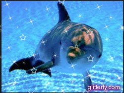 Glitter Photos
