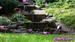 Glitter Photos