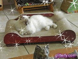 Glitter Photos